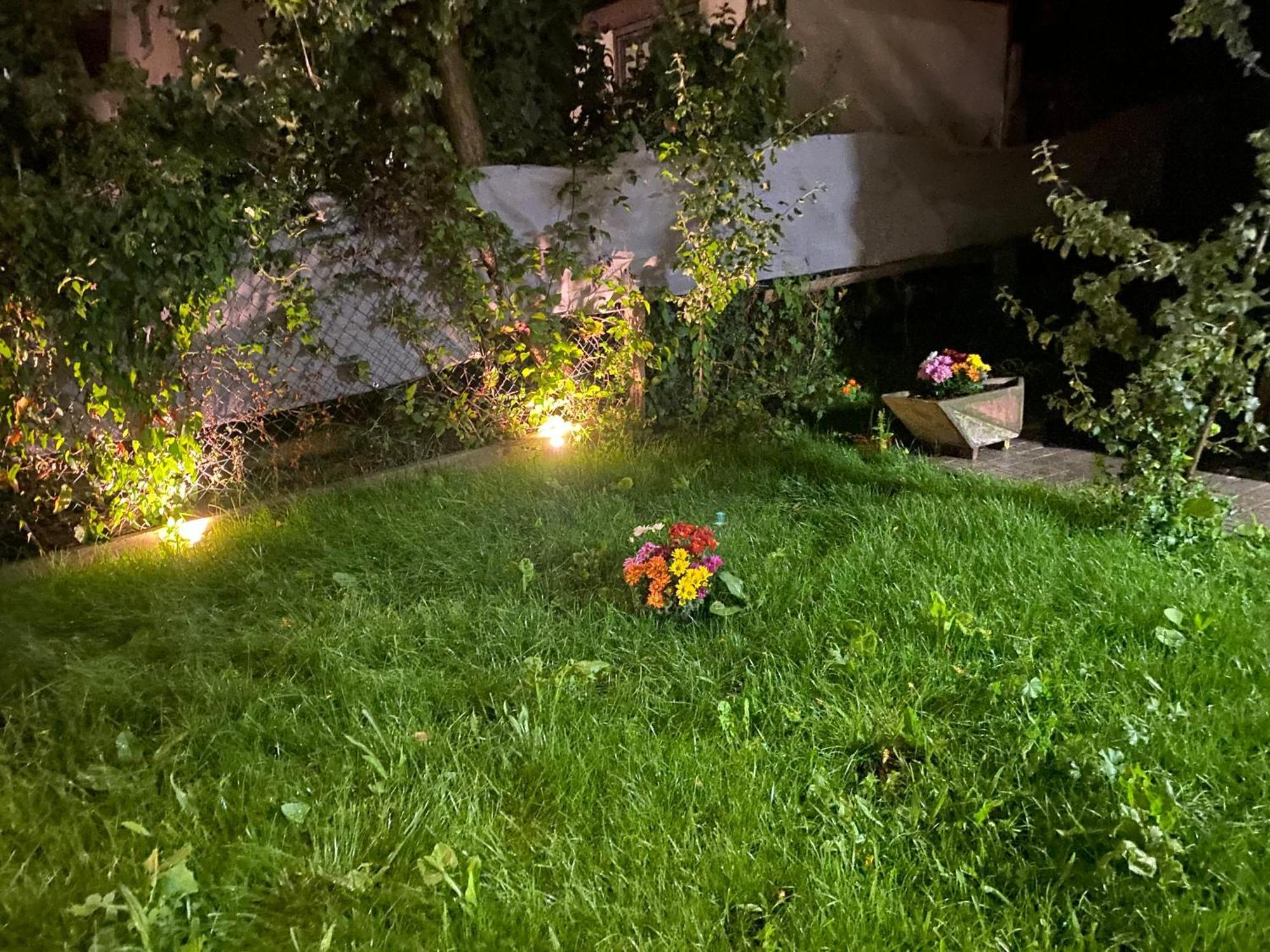 Eden In Vitry Logement Entier エクステリア 写真
