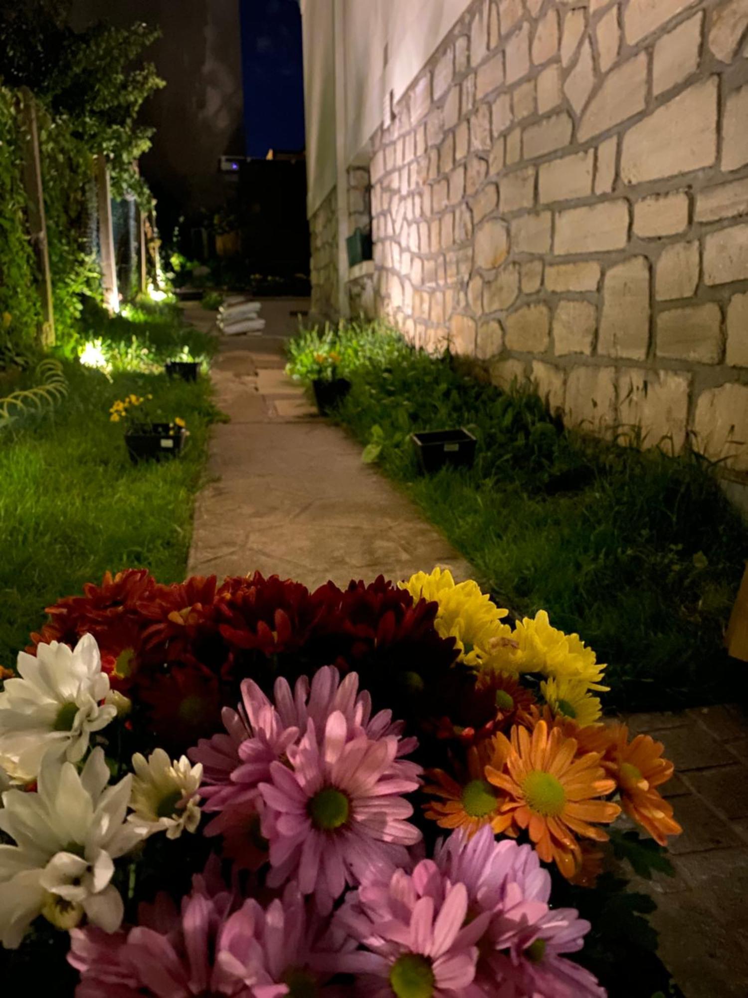 Eden In Vitry Logement Entier エクステリア 写真
